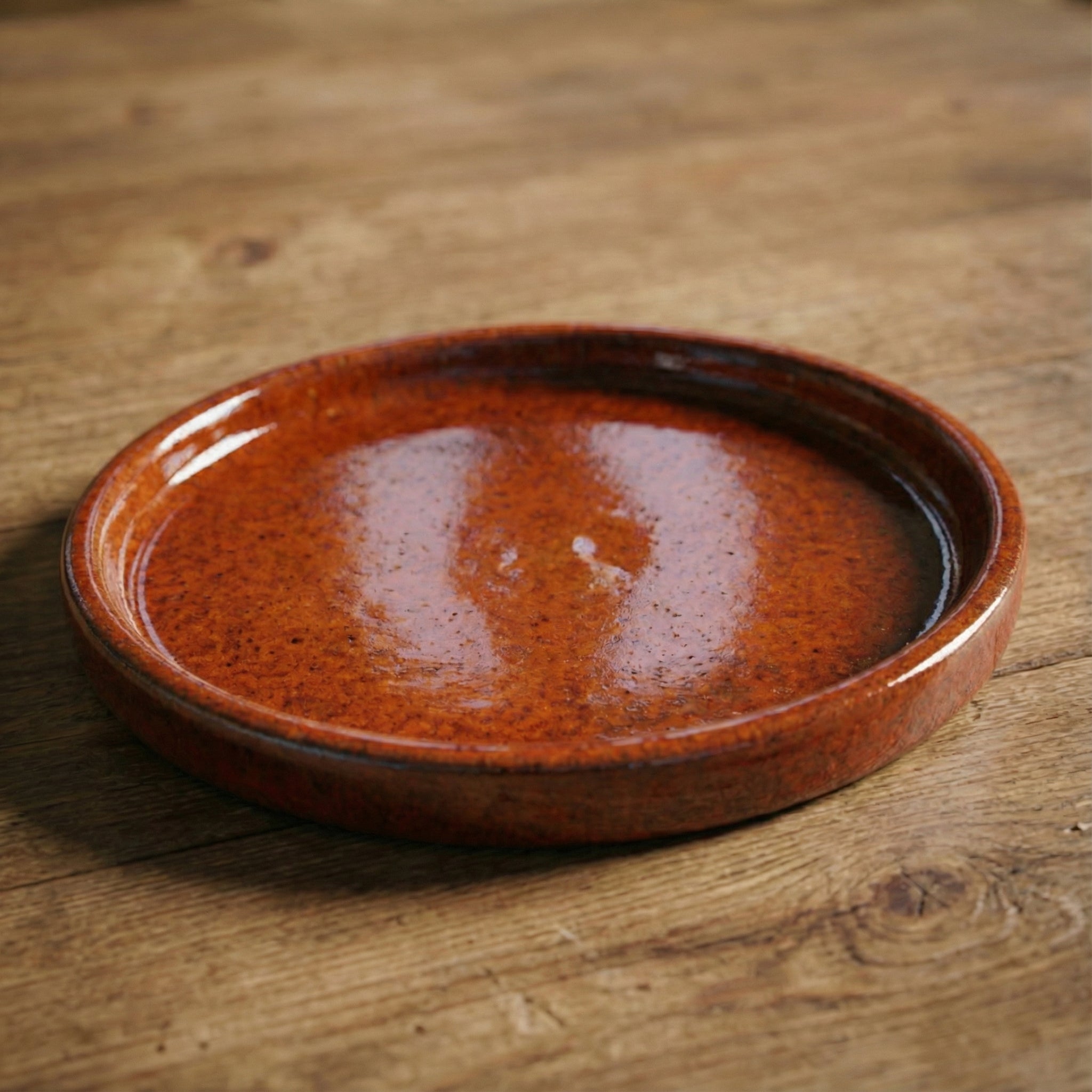 Tacka na doniczkę - Tropikalna pomarańcza