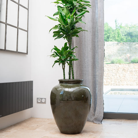 Doniczka ceramiczna Dionizos - Tropikalna zieleń