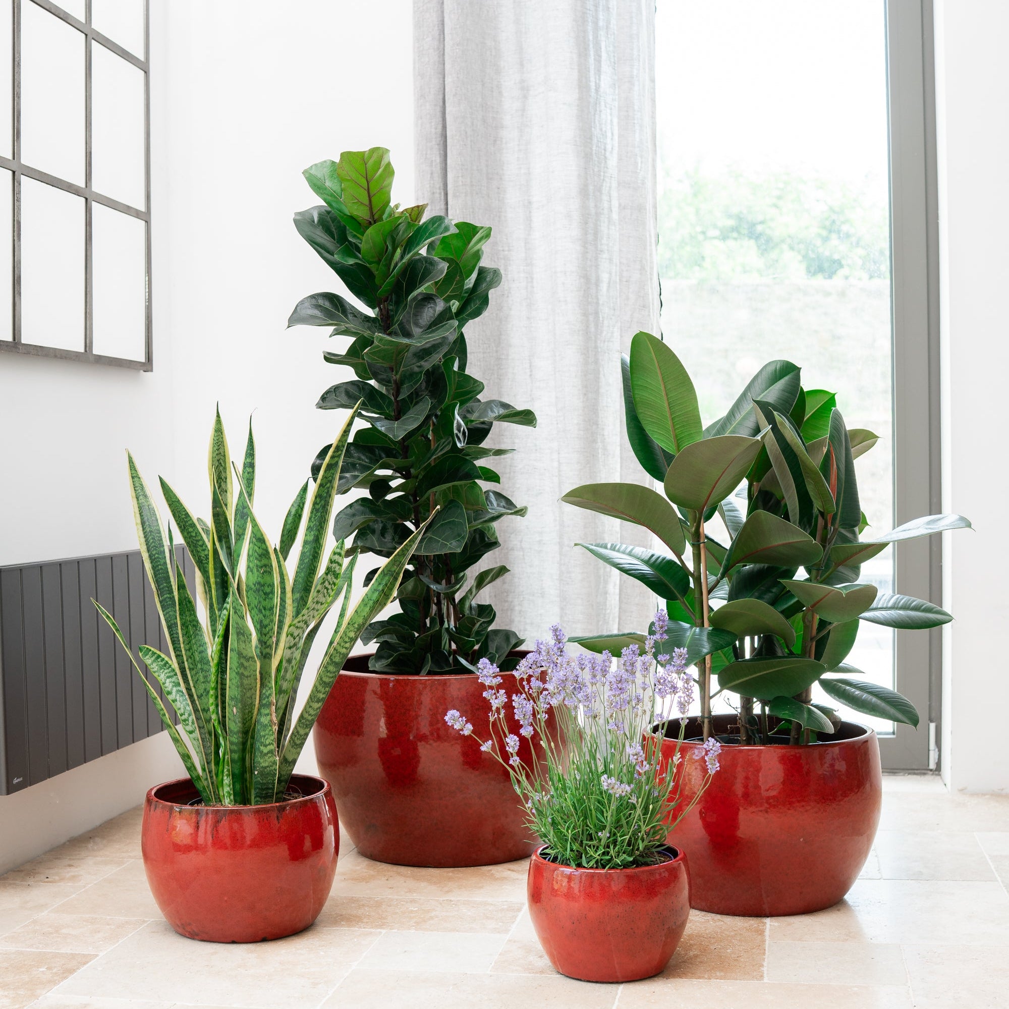 Doniczka ceramiczna Romulus - tropikalna czerwień