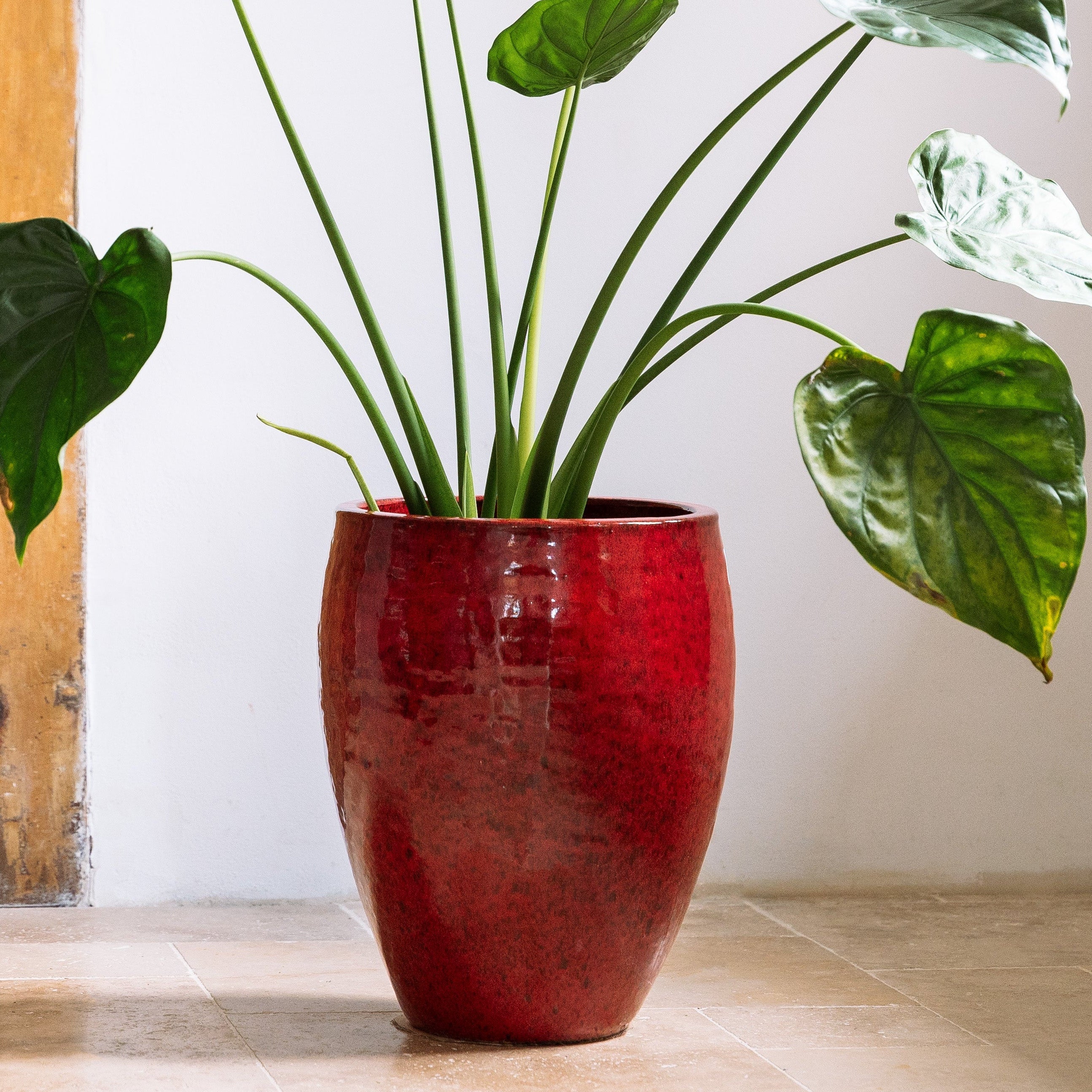 Doniczka ceramiczna Posejdon - tropikalna czerwień