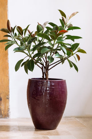 Doniczka ceramiczna Posejdon - Jesienny fiolet