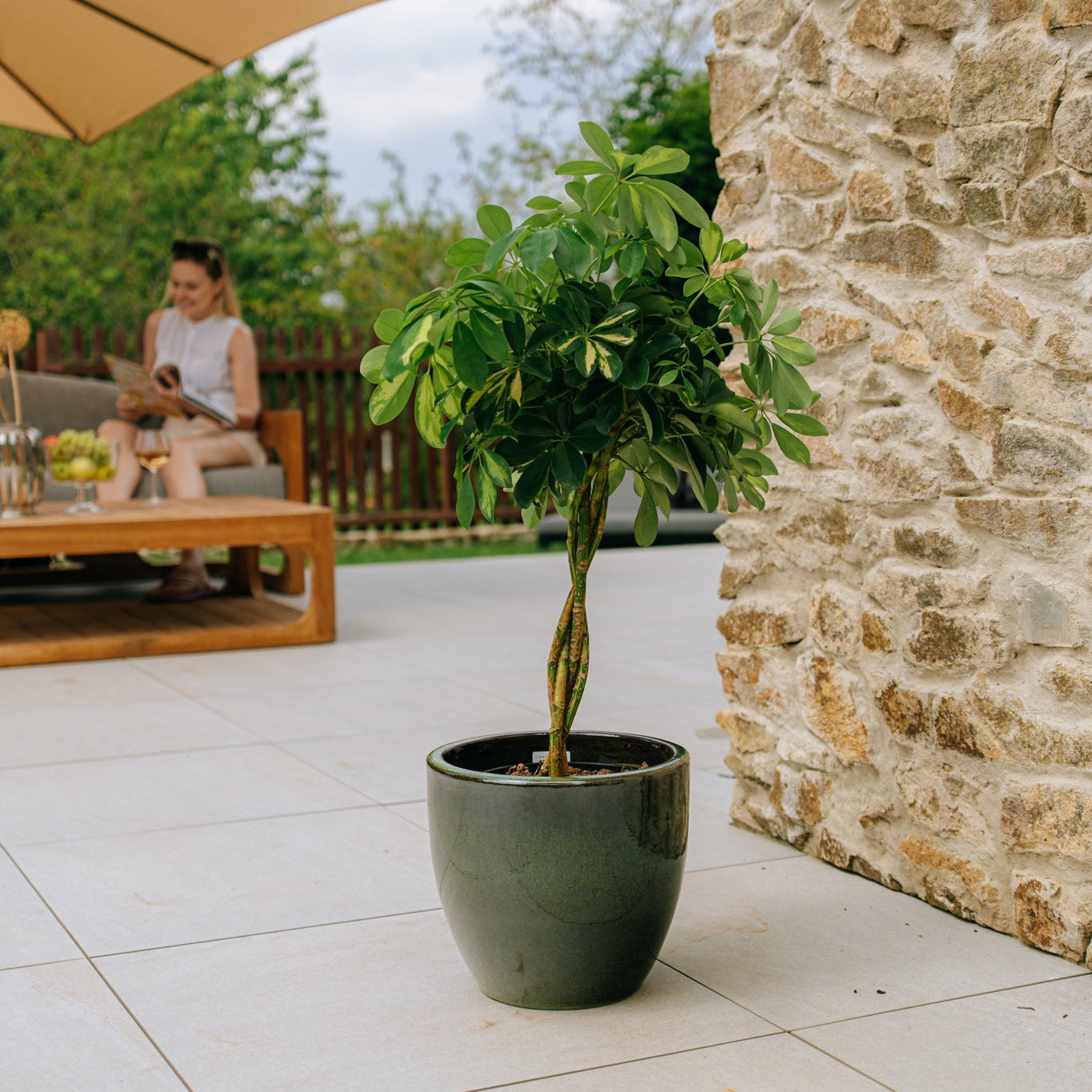 LANCELOT Tropikalna zieleń doniczka ceramiczna – Provencelia, do ogrodu i na taras