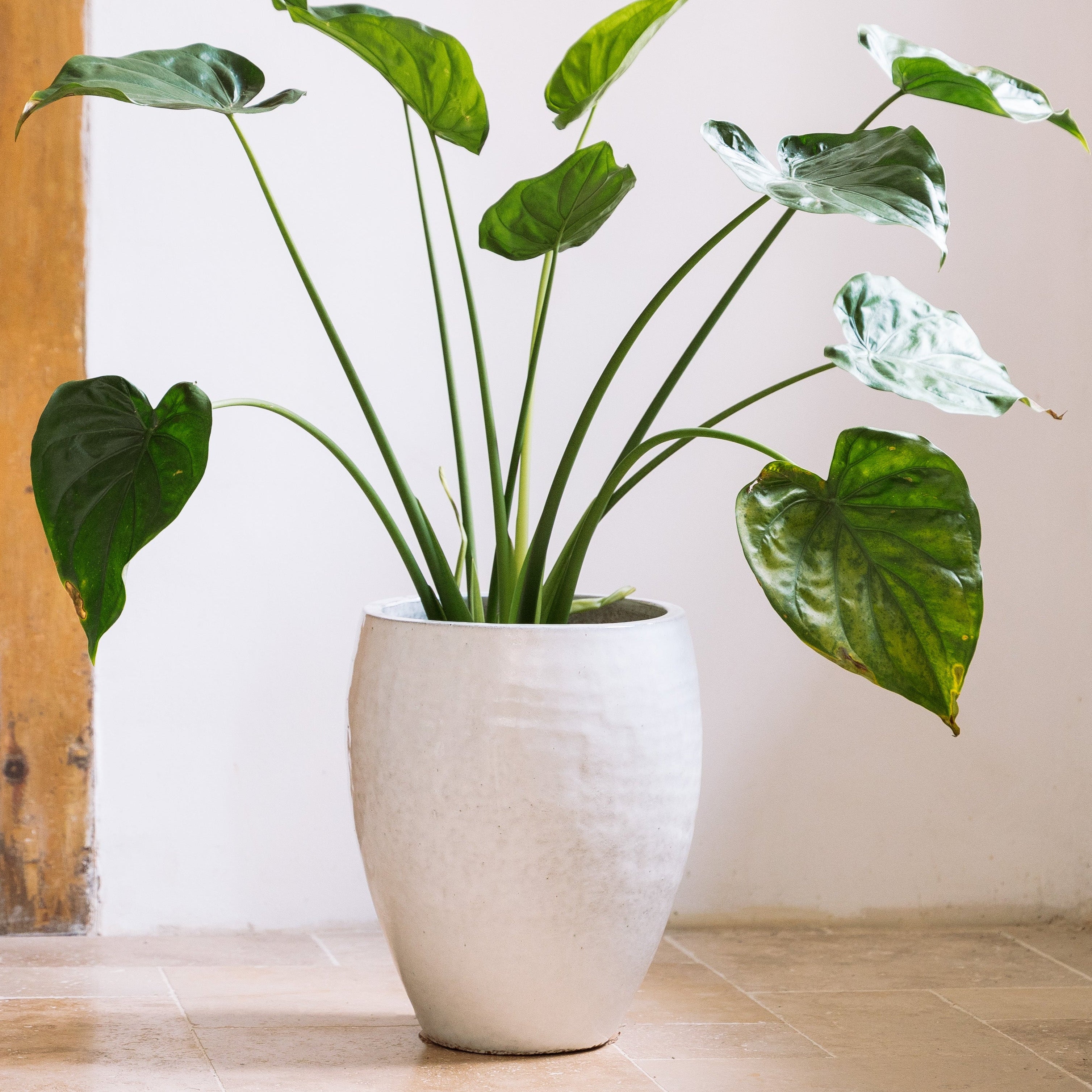 Doniczka ceramiczna Posejdon - biała