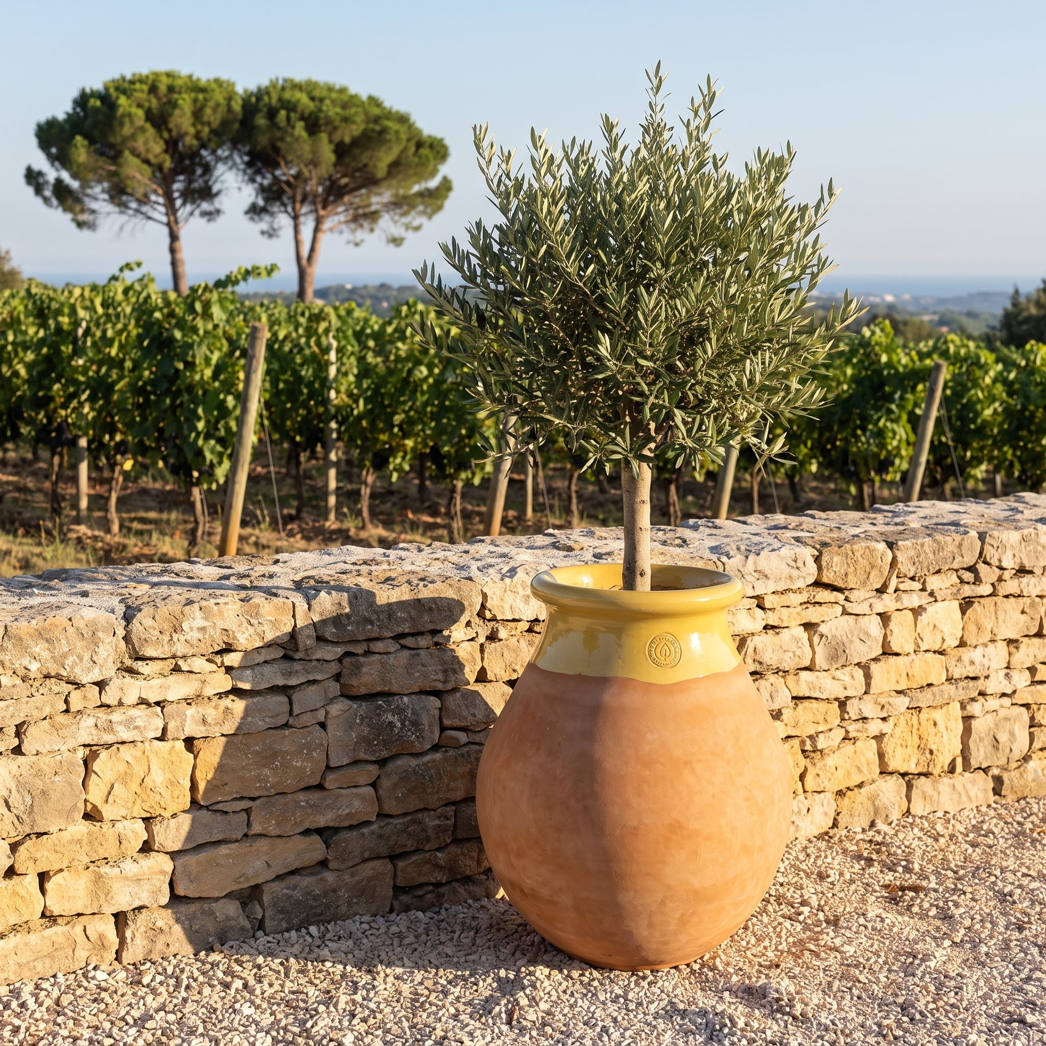 Prowansalski biot MADE IN PROVENCE – terakota cérusée z miodowym kołnierzem - 2XL (85 cm)