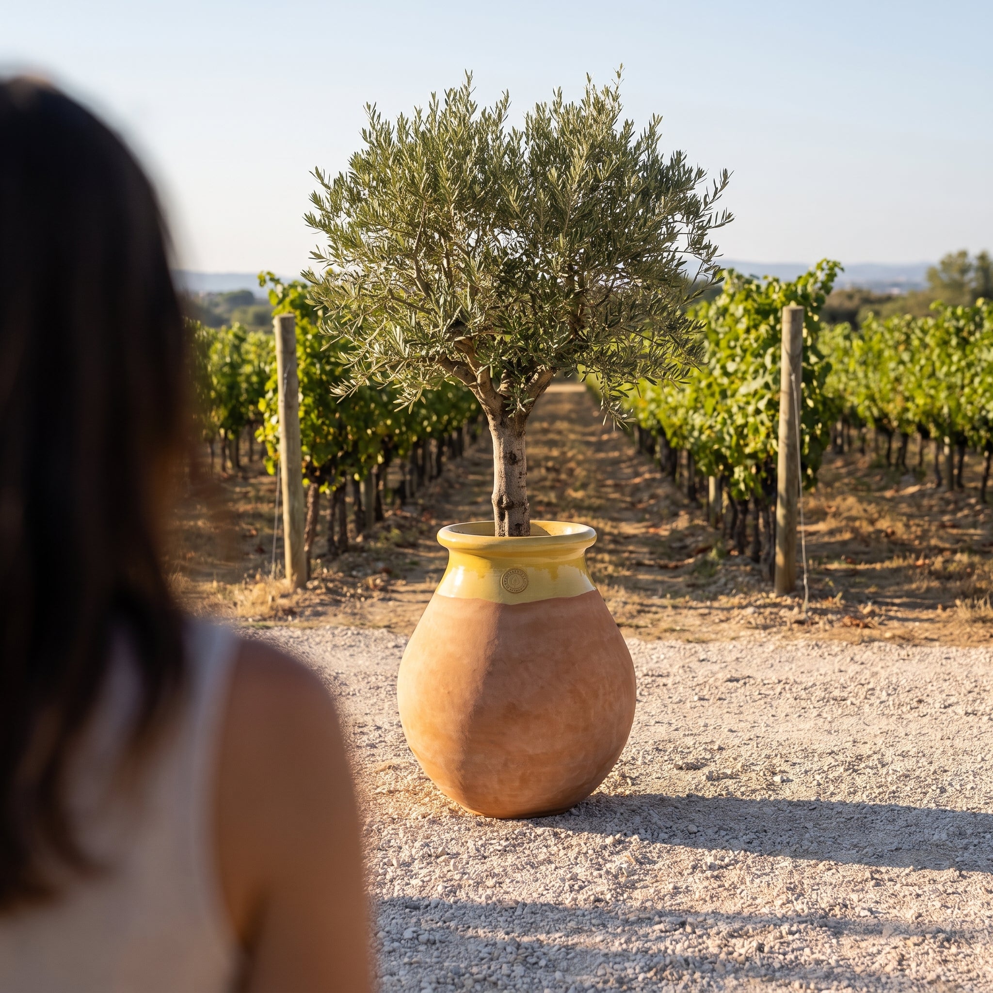 Prowansalski biot MADE IN PROVENCE – terakota cérusée z miodowym kołnierzem - 2XL (85 cm)