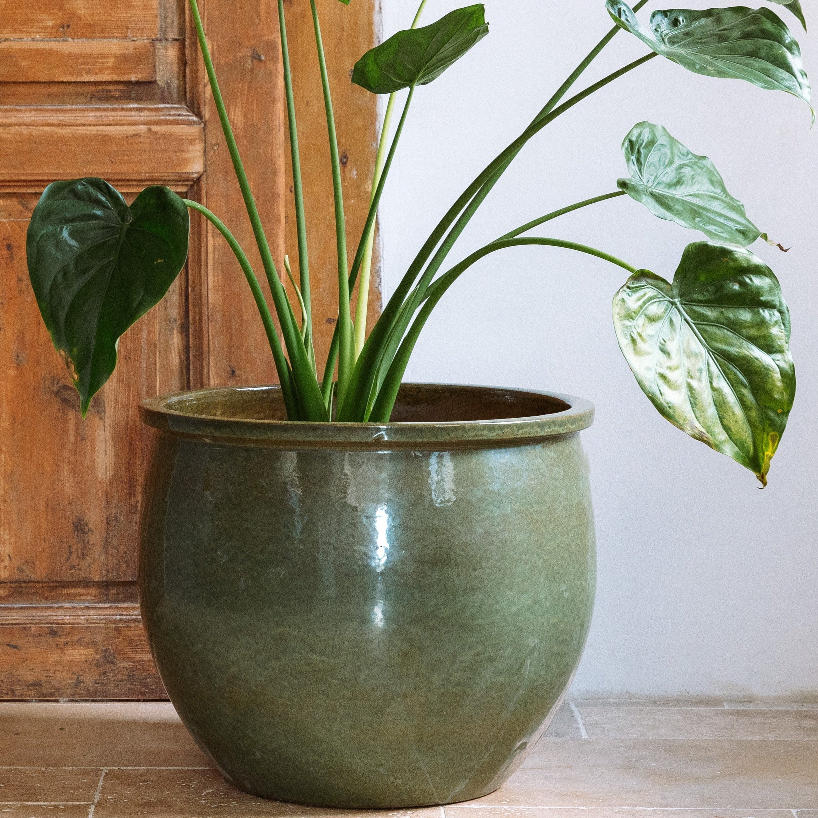 Ceramiczna doniczka Newton - Tropikalna zieleń - Provencelia.cz