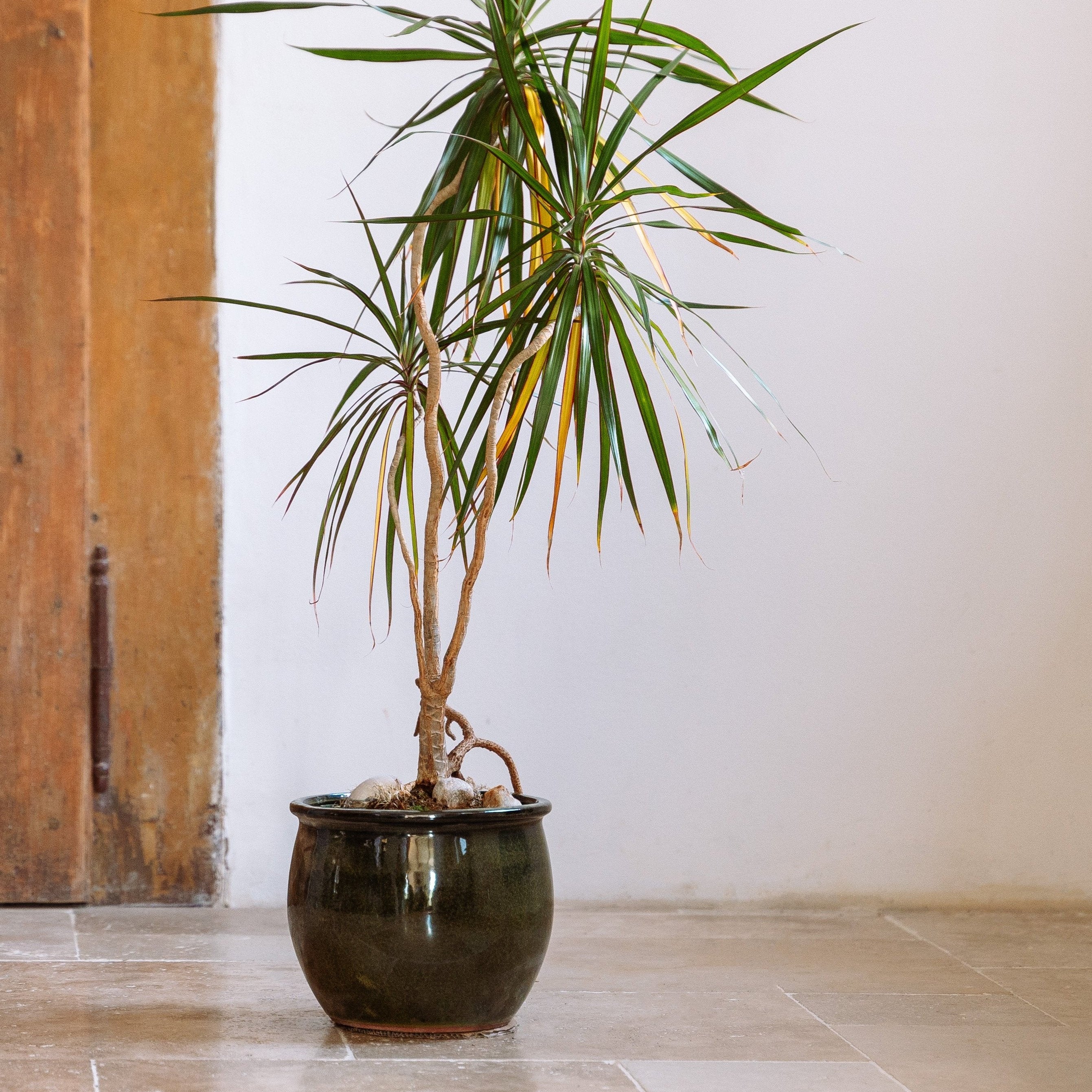 Doniczka ceramiczna Newton duża - Tropikalna zieleń - Provencelia.cz