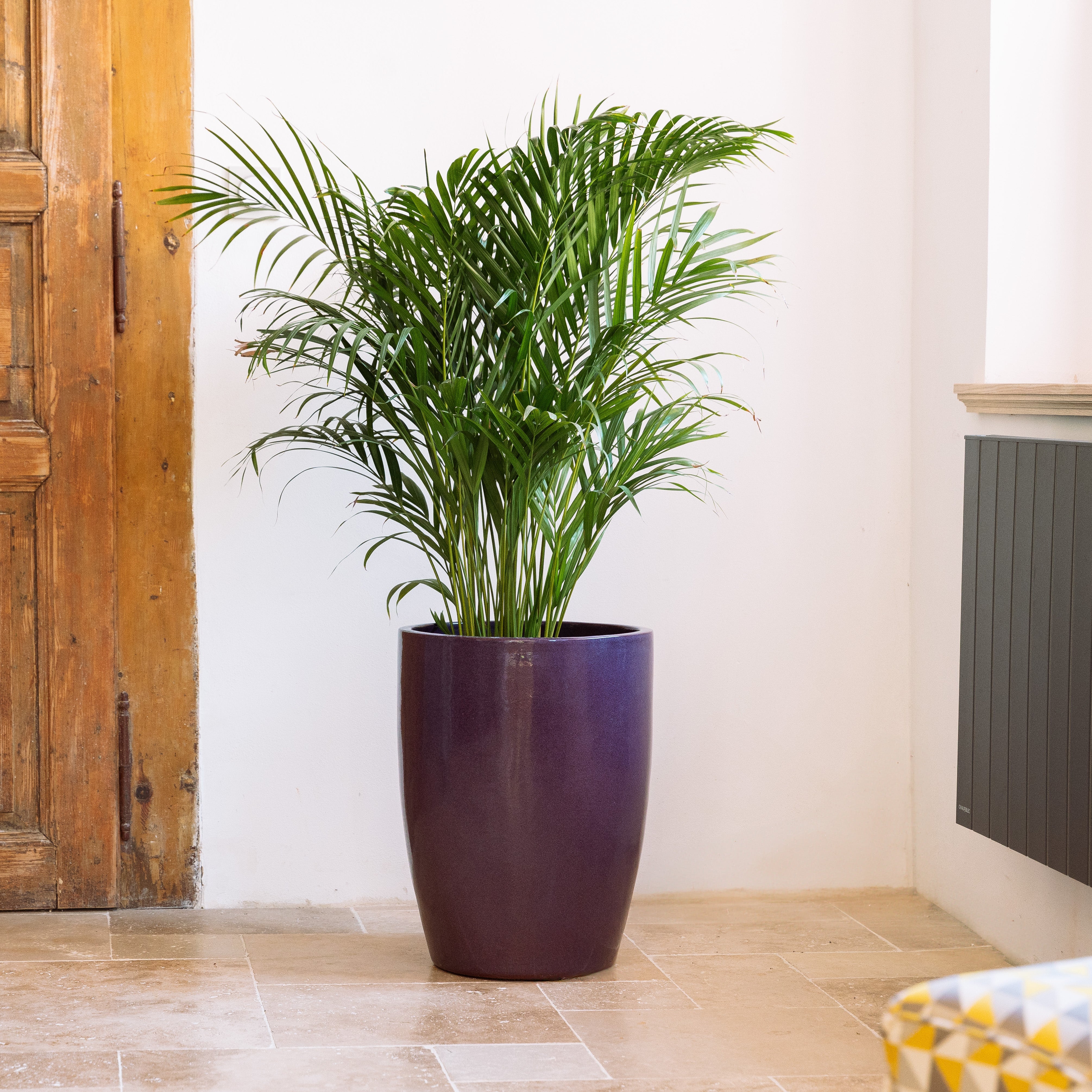 Wysoka ceramiczna doniczka Platon - Fioletowa