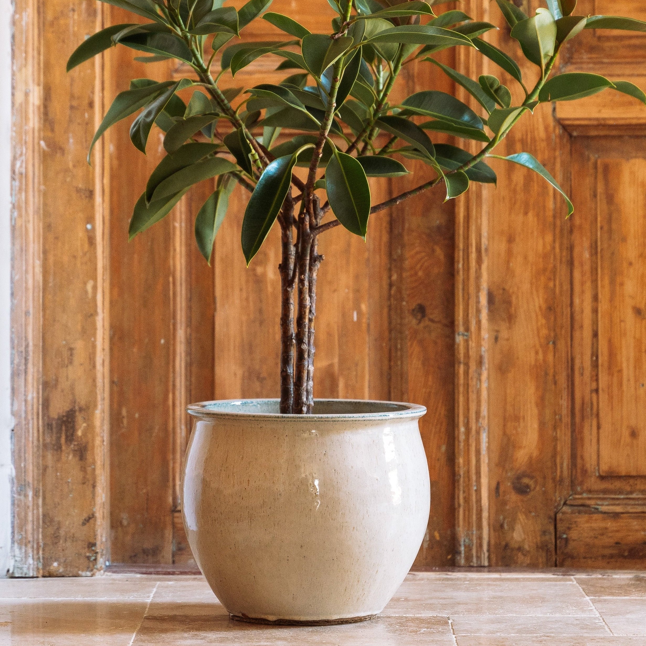 Ceramiczna doniczka Newton - Biała - Provencelia.cz