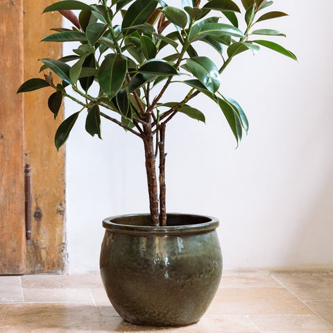 Ceramiczna doniczka Newton - Tropikalna zieleń