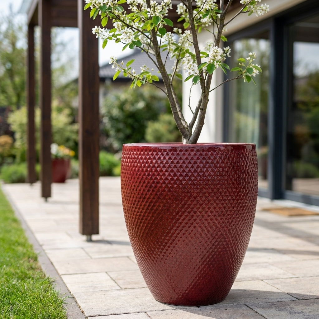 Detailní záběr na keramický květináč Signac - Císařská červená o výšce 52 cm osázený buxusem na slunné moderní terase.