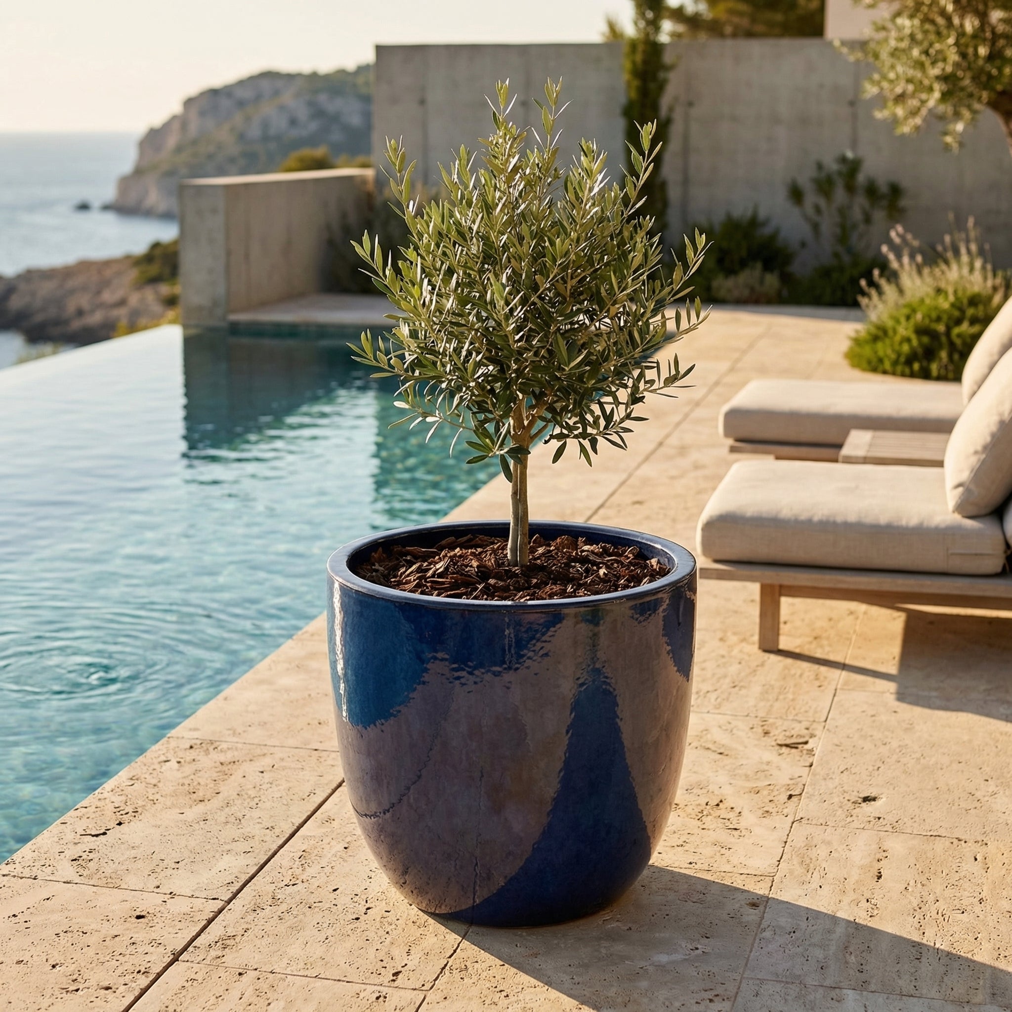 Lesklý ceramiczny doniczka LANCELOT - Půlnoční niebieska s olivovníkem na luxusní slunné terase u bazénu.