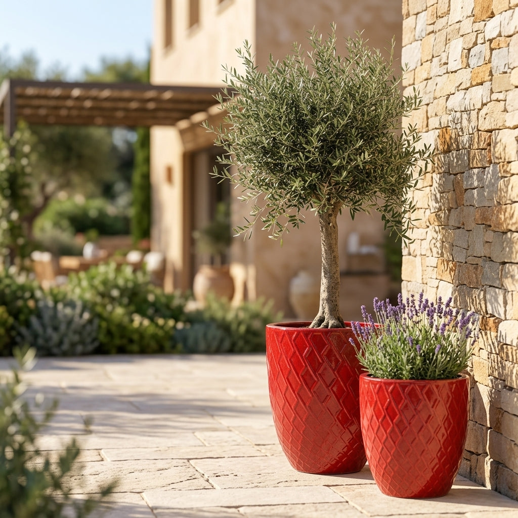 Detailní pohled na lesklý keramický květináč Zeus - Císařská červená s ozdobným reliéfem. Elegantní velká nádoba tvaru urny s olivovníkem na prosluněné kamenné terase.