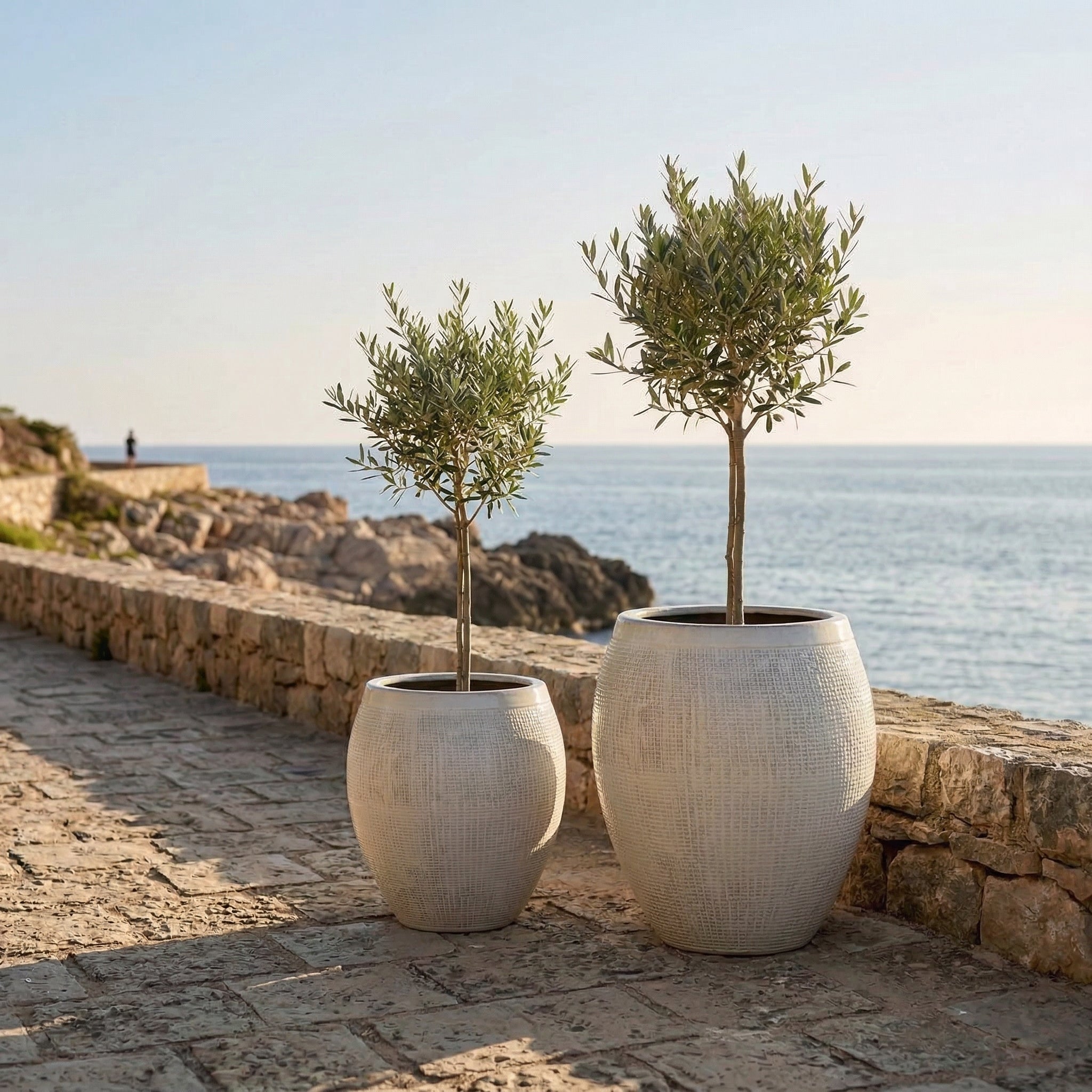 Velký kremowy venkovní doniczka COCOON z glazované terakoty osázený olivovníkem. Ručně vyráběný mrozoodporny doniczka na středomořské cestě, vedle kterého stojí žena ukazující jeho XXL velikost.