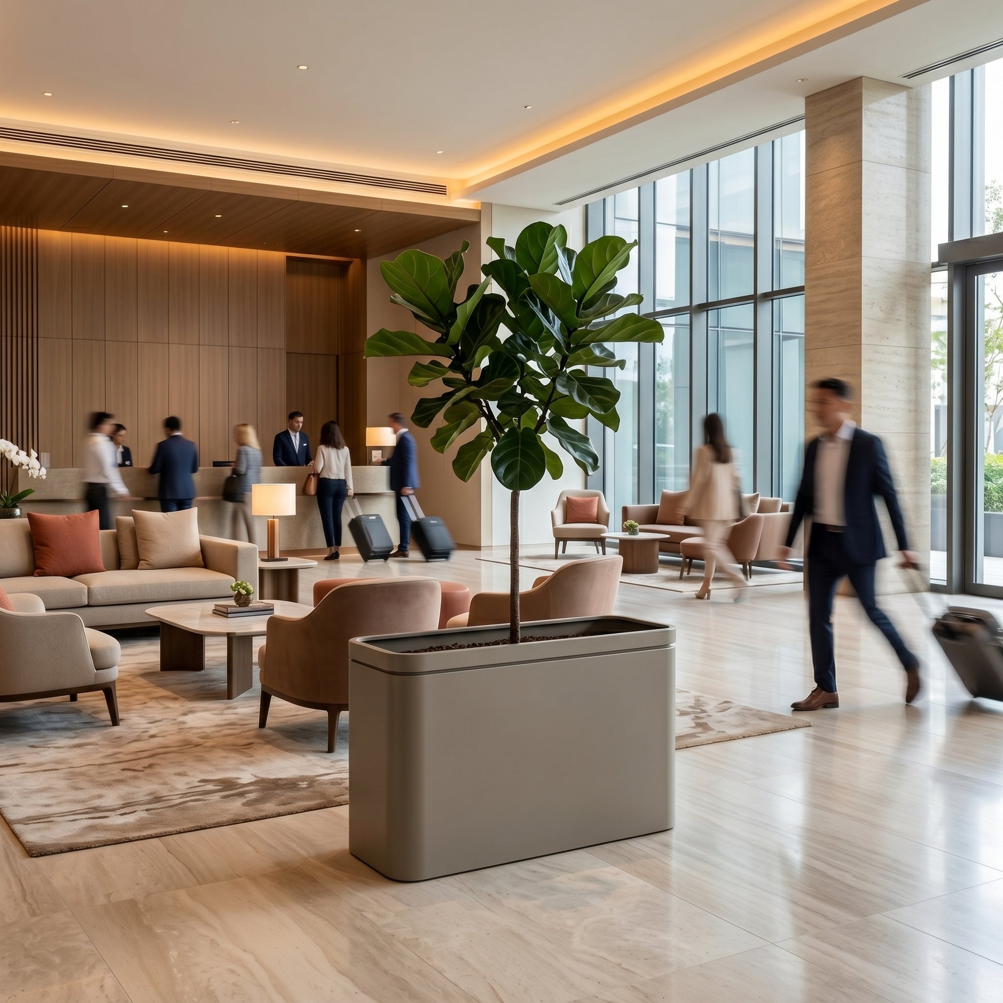 Velký pozinkovaný ocelový květináč INFINITY SQUARE - Šampaňská - XXXL s fíkusem lyrovitým jako dominanta interiéru moderního luxusního hotelového lobby.