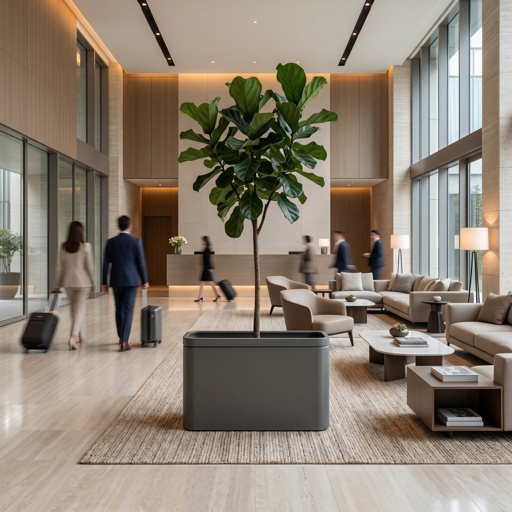 Velký pozinkovaný ocelový květináč INFINITY SQUARE antracit XXXL s rostlinou Ficus lyrata v moderním luxusním hotelovém lobby.