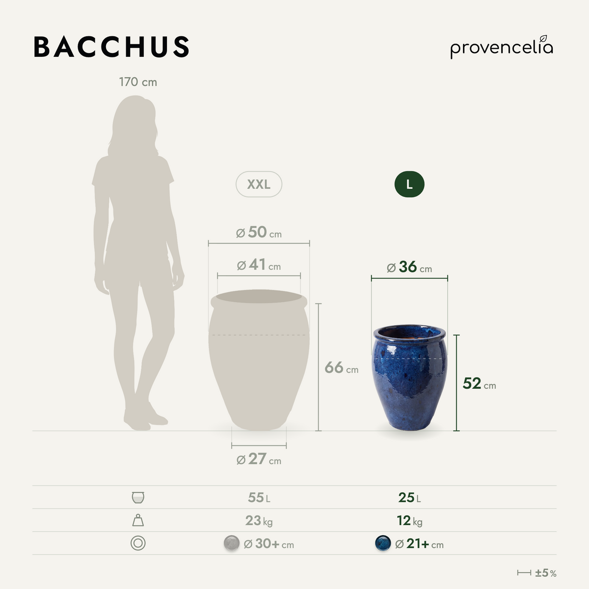 BACCHUS L – wymiary