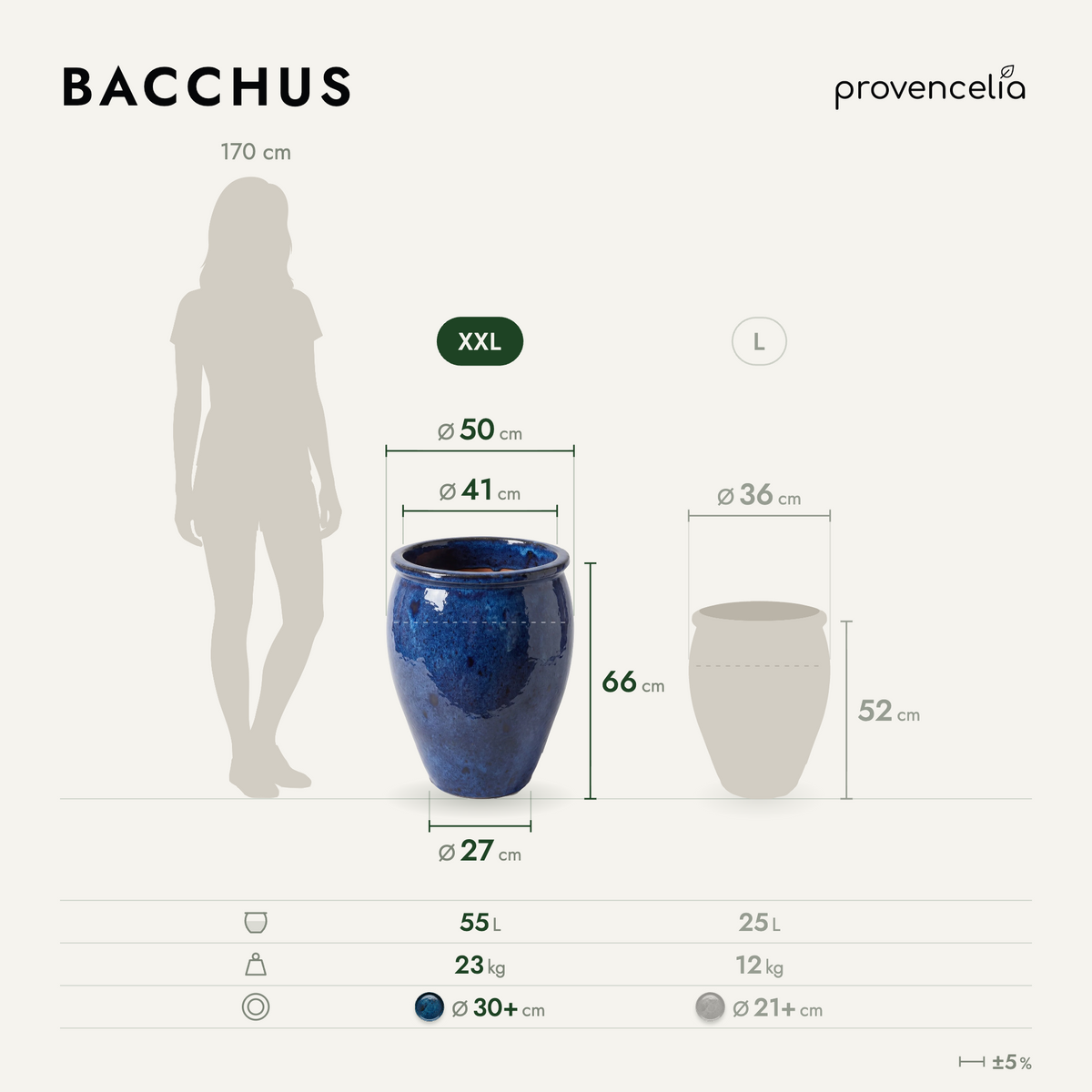 BACCHUS XXL – wymiary