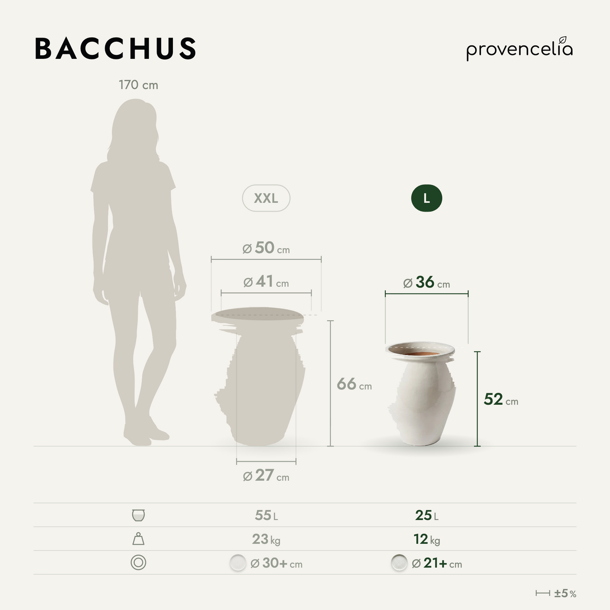 BACCHUS L – wymiary