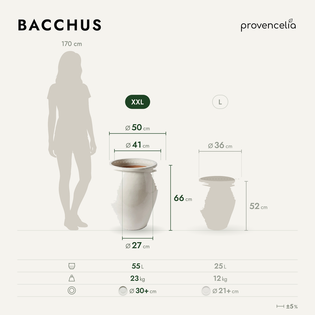 BACCHUS XXL – wymiary
