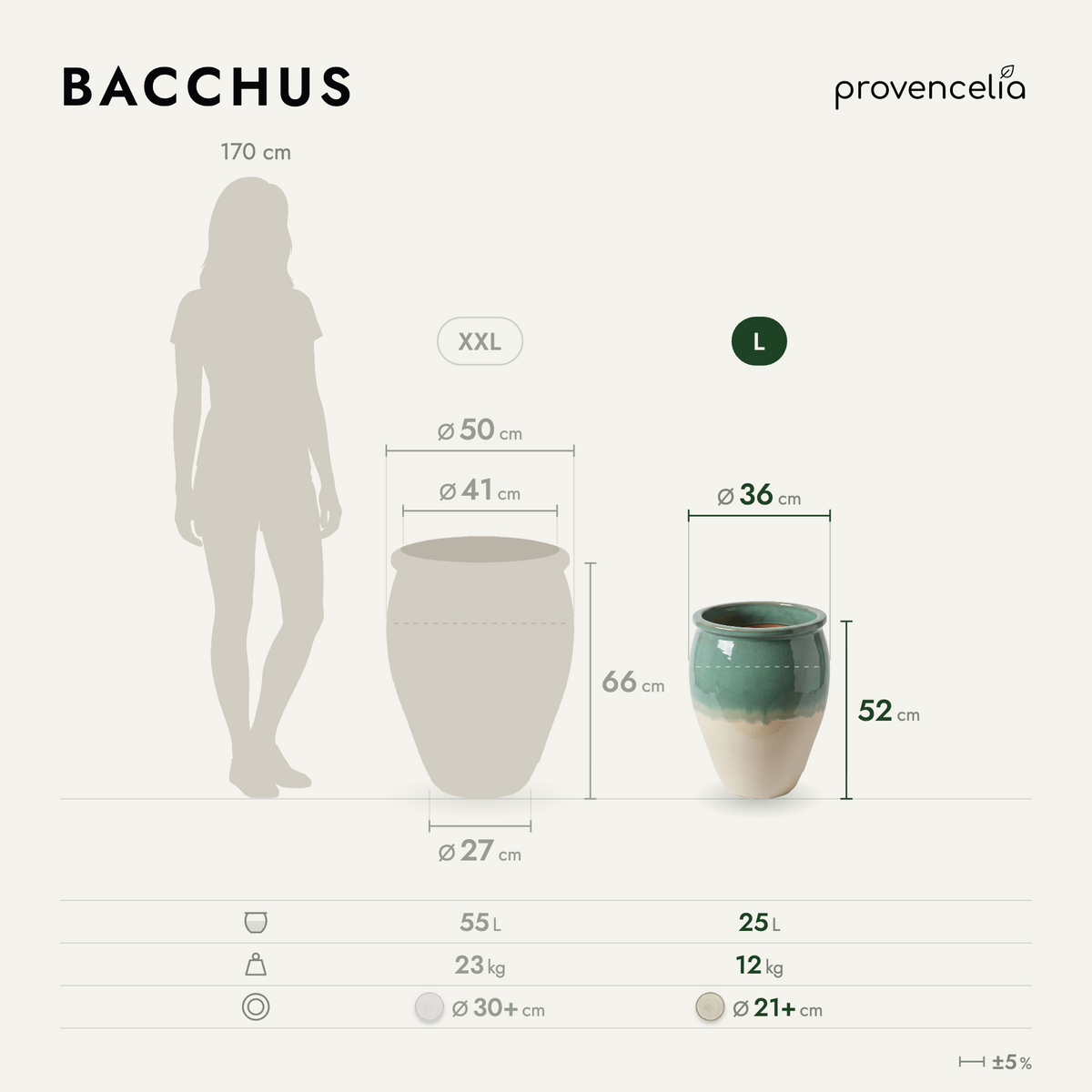 BACCHUS L – wymiary