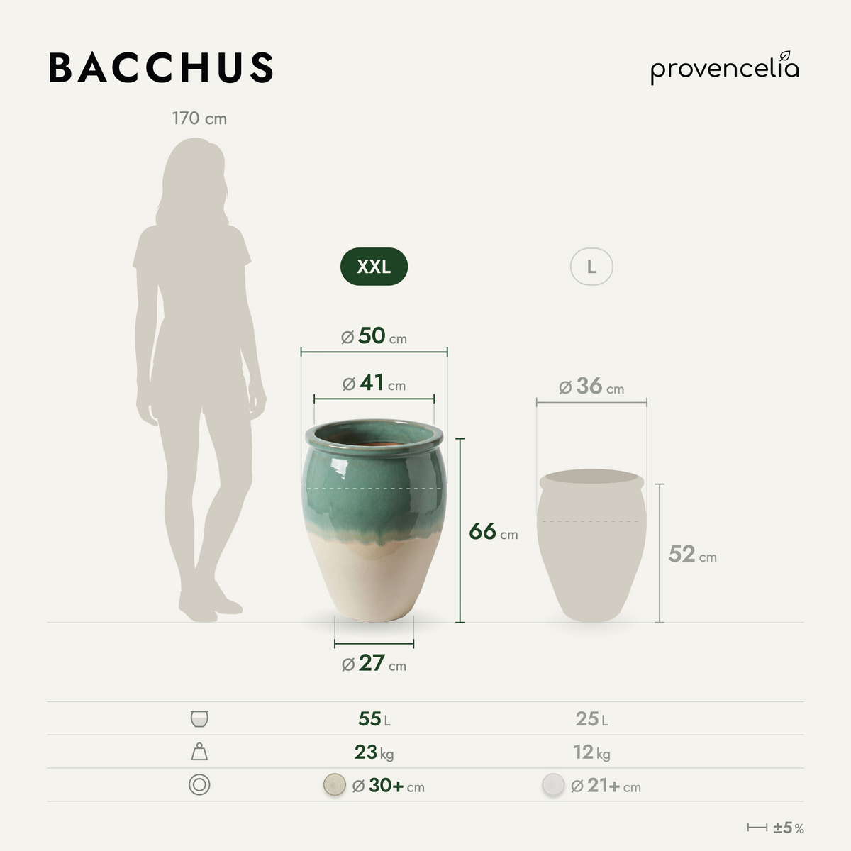 BACCHUS XXL – wymiary