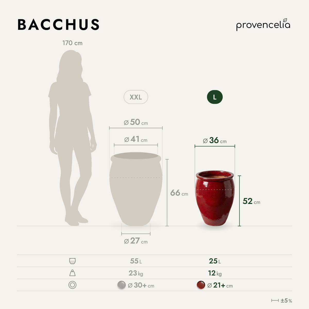 BACCHUS L – wymiary