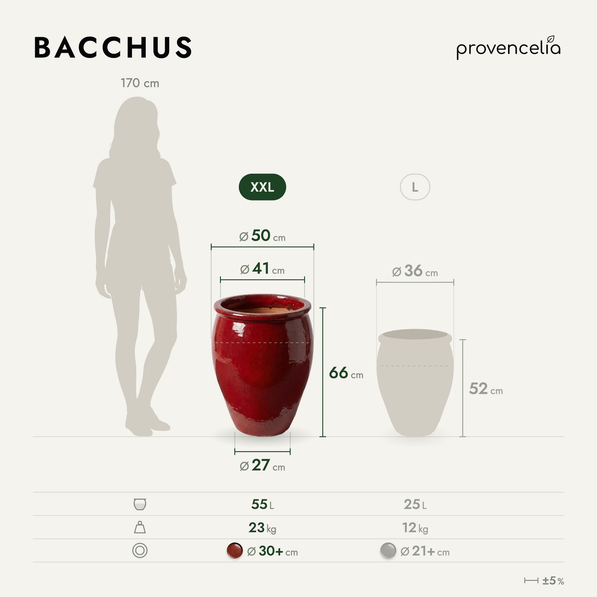 BACCHUS XXL – wymiary