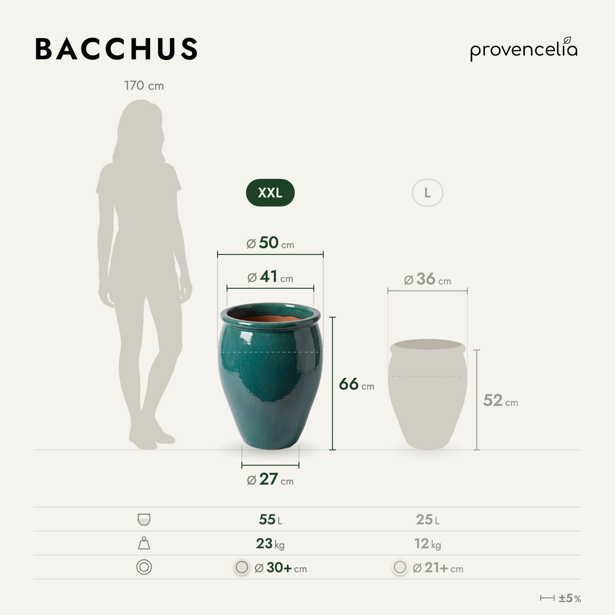 BACCHUS XXL – wymiary