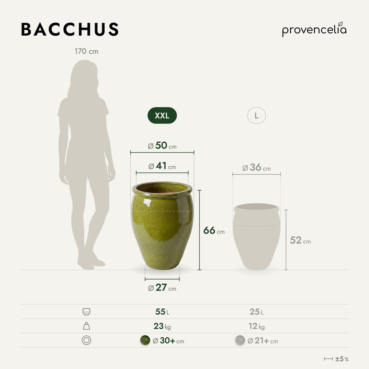 BACCHUS XXL – wymiary