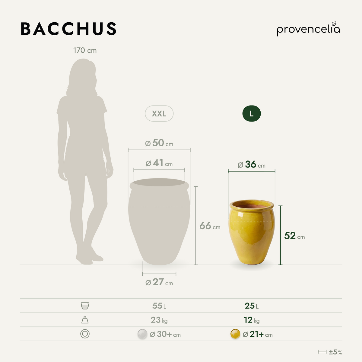 BACCHUS L – wymiary