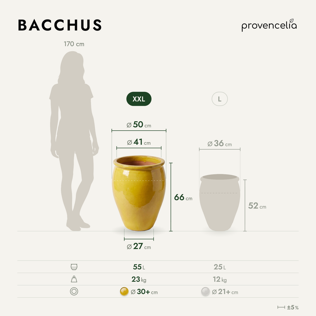 BACCHUS XXL – wymiary