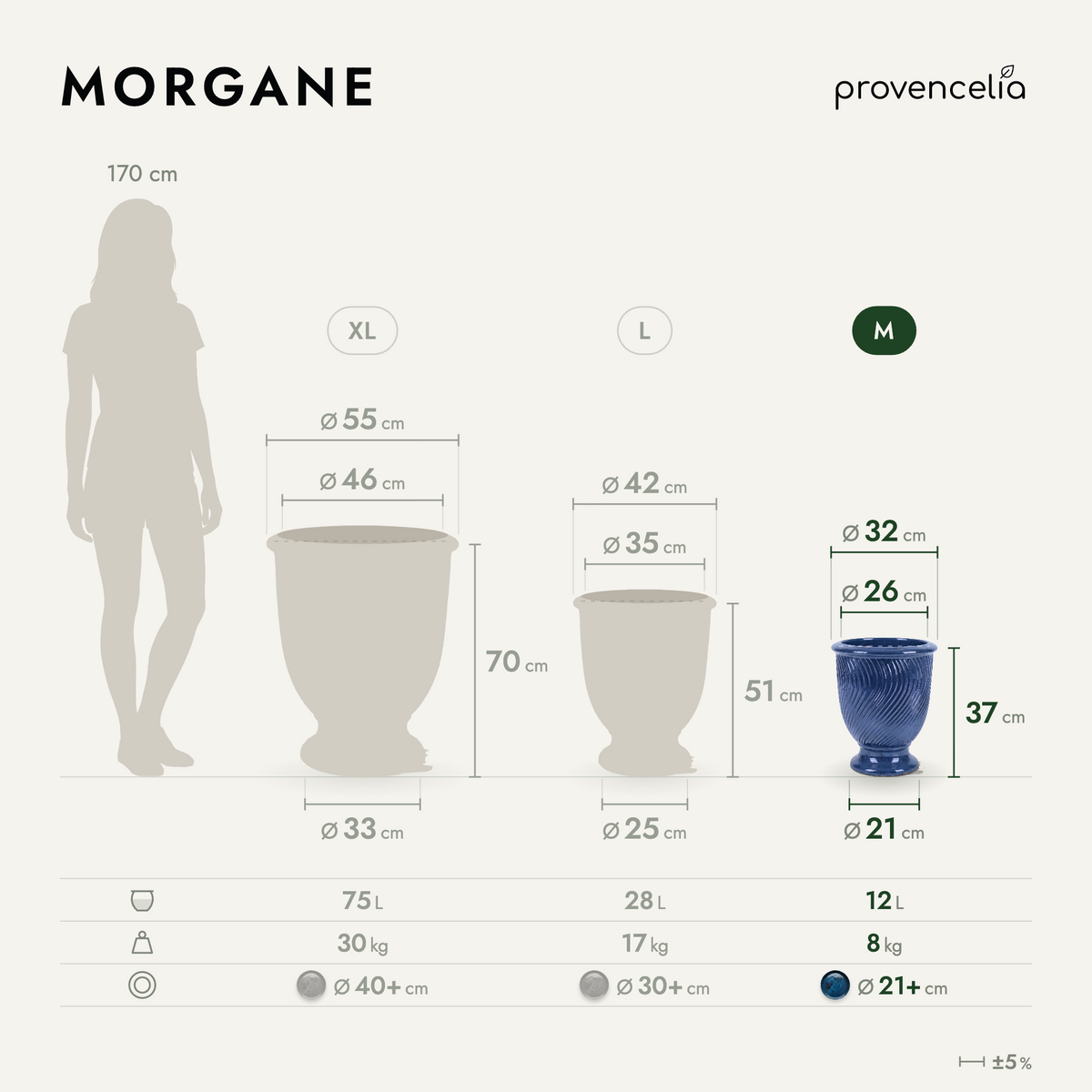 MORGANE M – wymiary