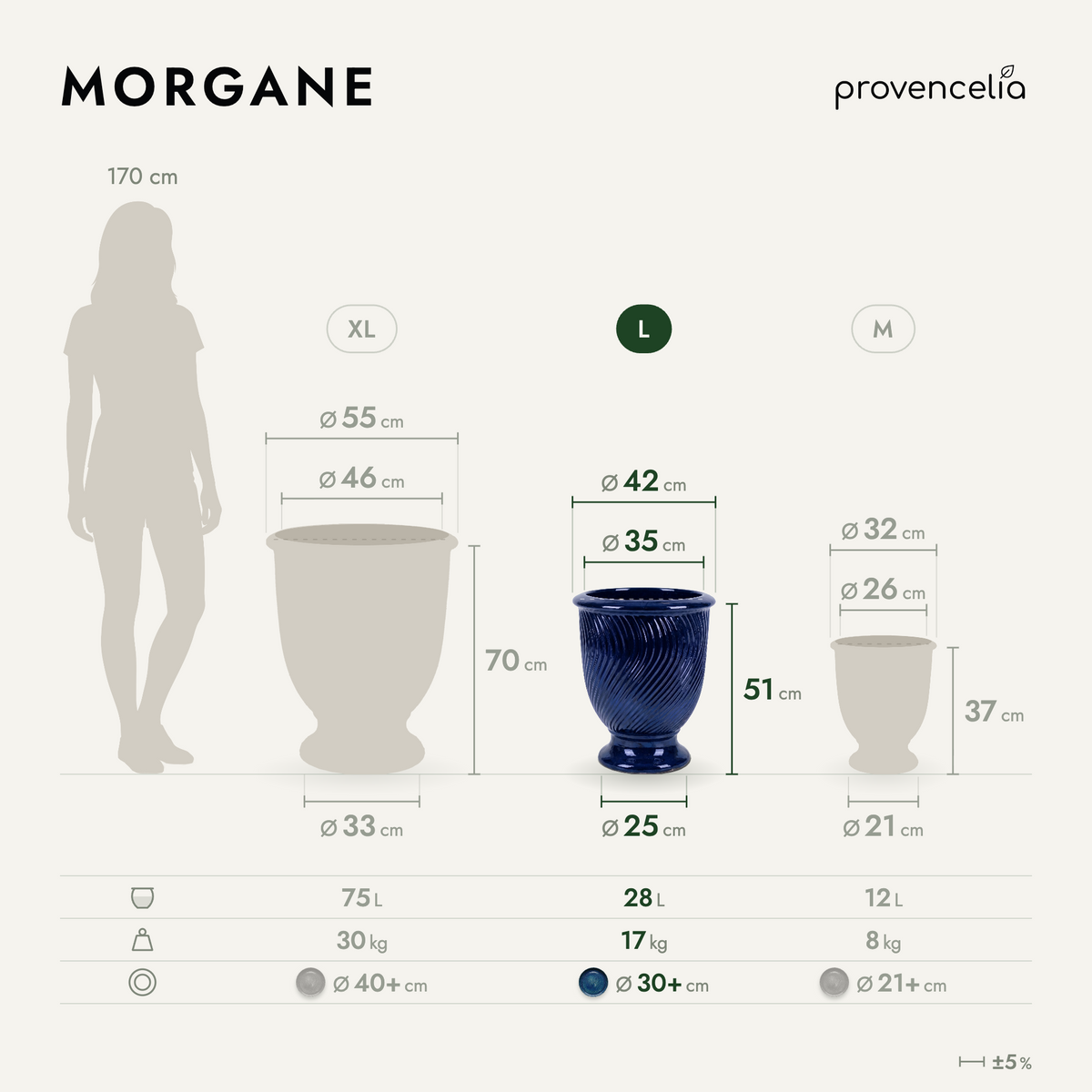 MORGANE L – wymiary