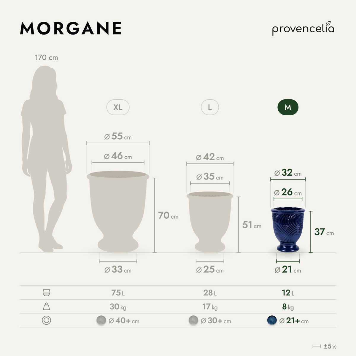 MORGANE M – wymiary