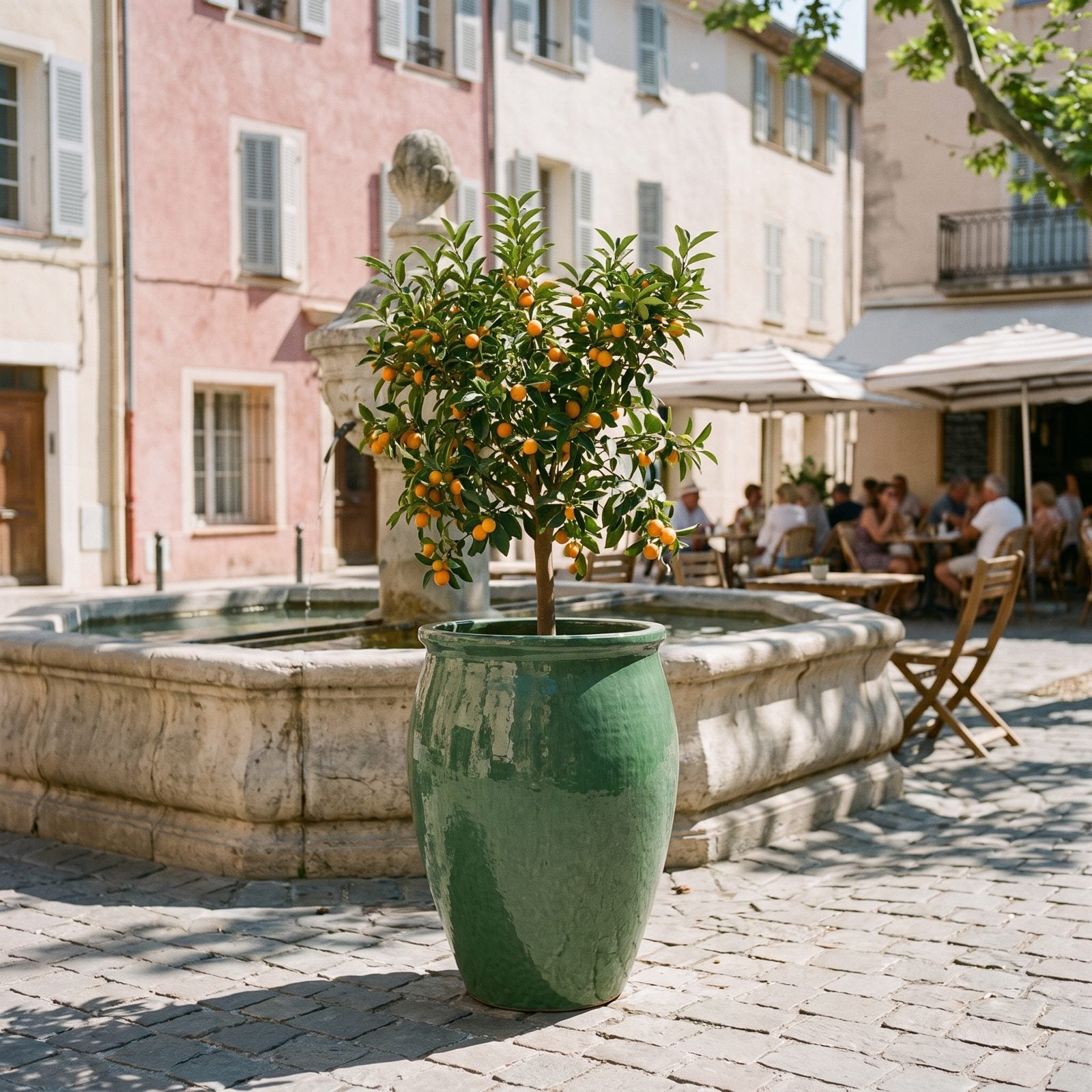 BACCHUS Nefrit s kumquatem u kamenné fontány na náměstí
