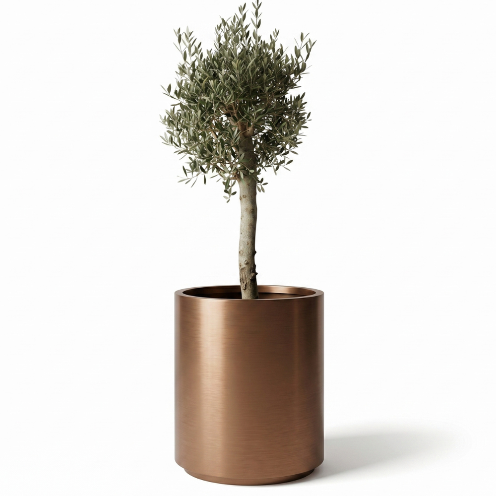 Drzewko oliwne (gruby pień) w doniczce METROPOLE 60×70 cm — Miedziana