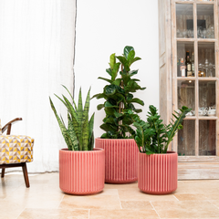 Ceramiczna doniczka Londyn - Różowa