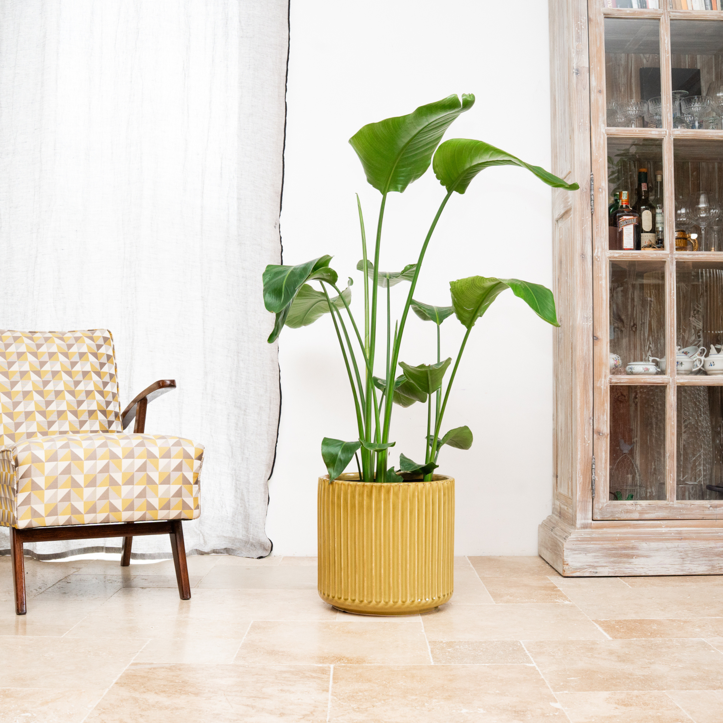 Ceramiczna doniczka Londyn - Żółta