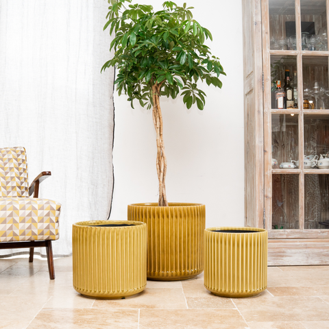 Ceramiczna doniczka Londyn - Żółta