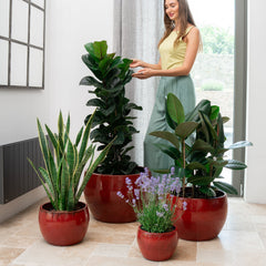 Doniczka ceramiczna Romulus - tropikalna czerwień