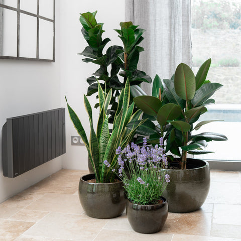 Doniczka ceramiczna Romulus - Tropikalna zieleń