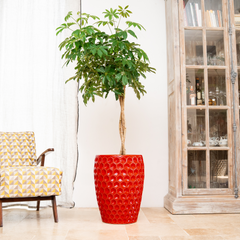 Doniczka ceramiczna Versaille - czerwona