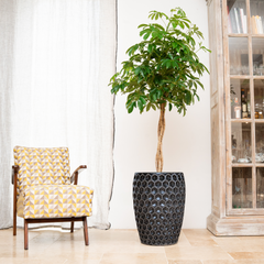 Doniczka ceramiczna Versaille - Czarna