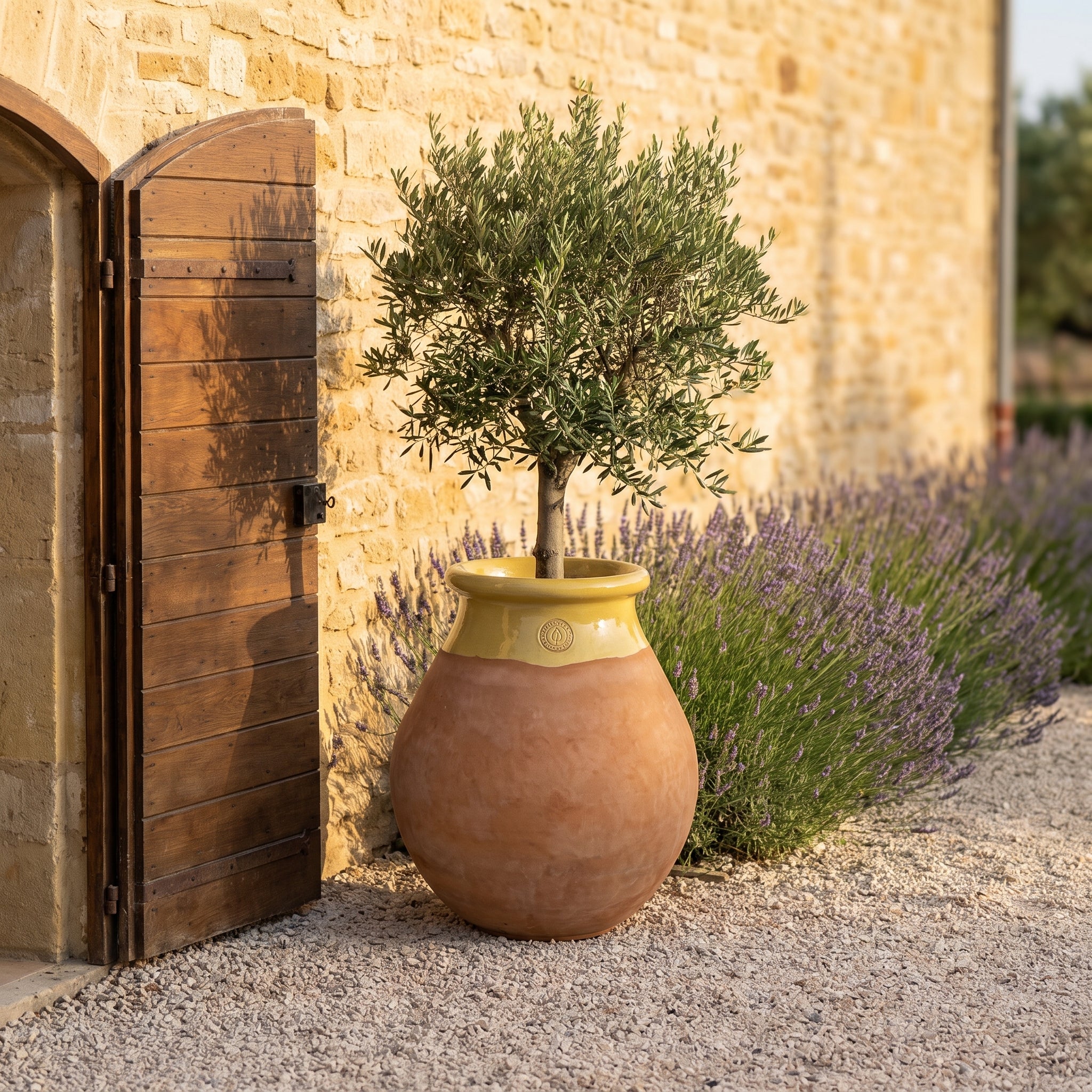 Prowansalski biot MADE IN PROVENCE – terakota cérusée z miodowym kołnierzem - 2XL (85 cm)