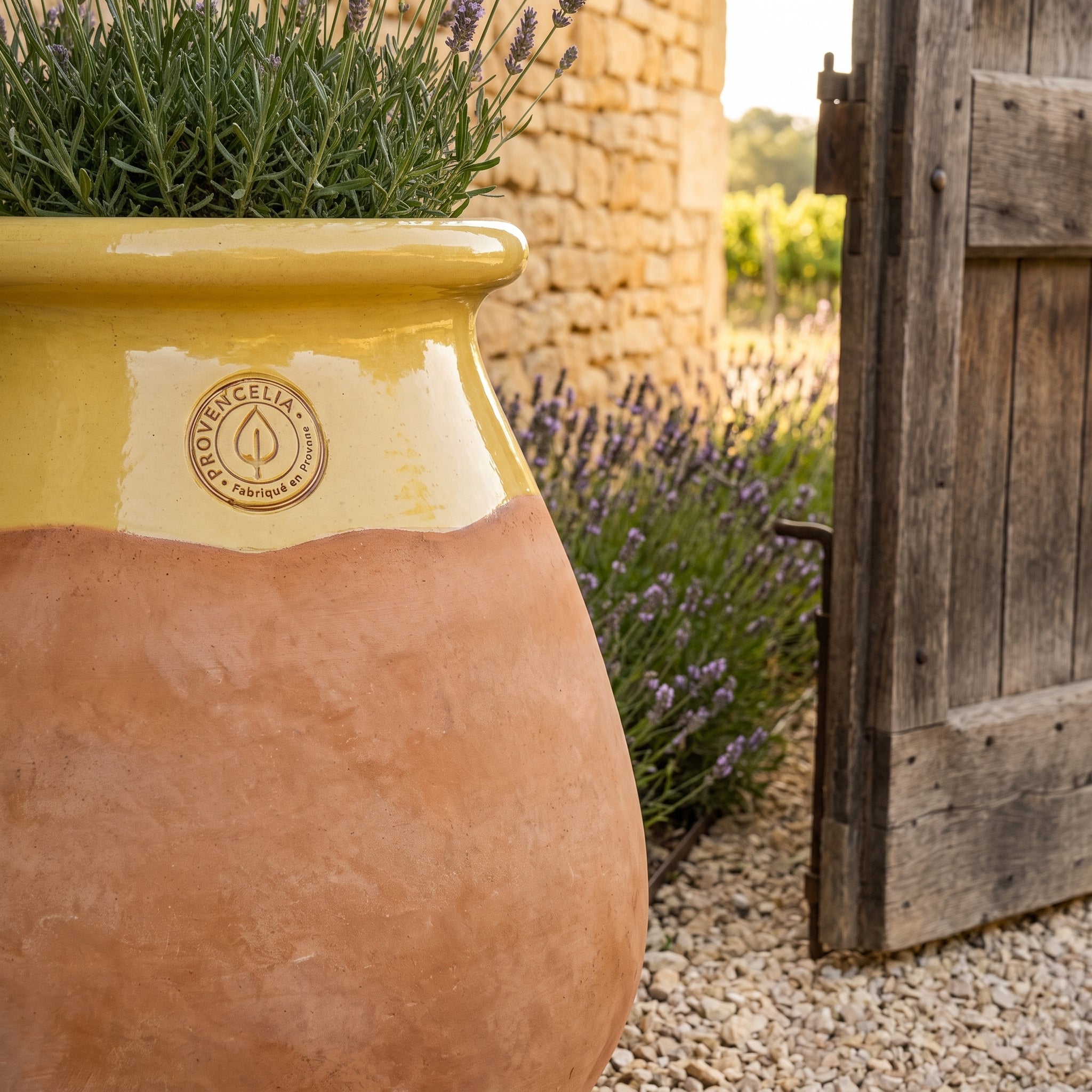 Prowansalski biot MADE IN PROVENCE – terakota cérusée z miodowym kołnierzem - XL (63 cm)