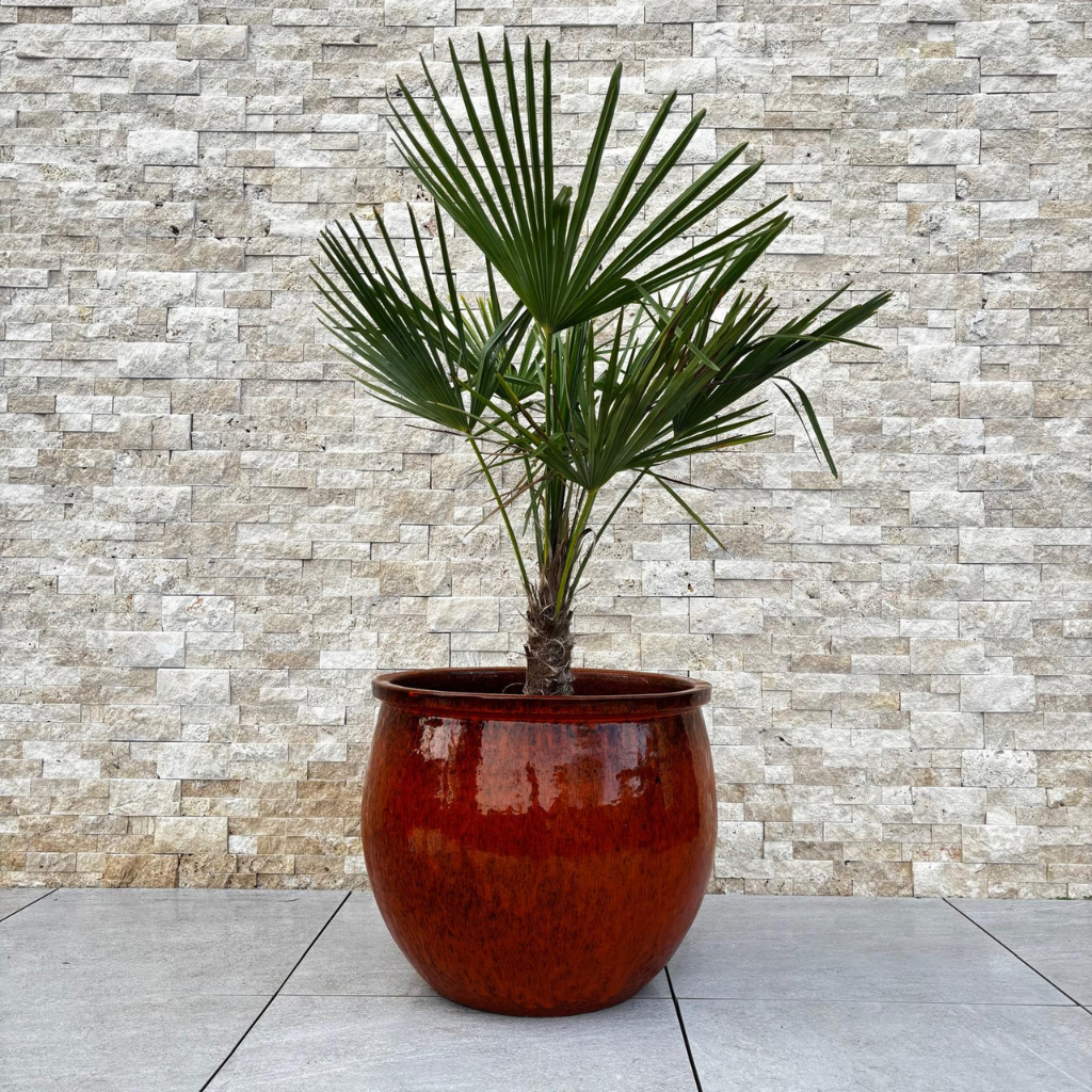 Doniczka ceramiczna Newton – Tropikalna pomarańcza, XL (55 cm x 46 cm)