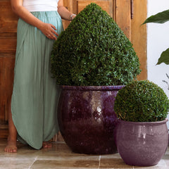 Ceramiczna doniczka Newton - Fioletowa