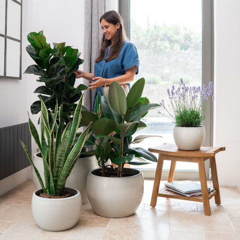 Doniczka ceramiczna Romulus - kremowa