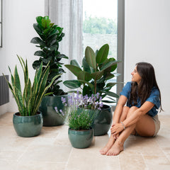 Ceramiczna doniczka Romulus - Jade